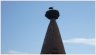 armenhaus-storchenturm.jpg - 